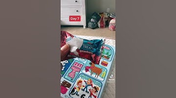 DAY 7 OF OUR POP-TART/RICE KRISPY TREAT ADVENT CALENDAR 🎄