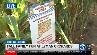 Family fun at Lyman Orchards Corn Maze