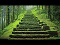20 most mysterious staircases in the world