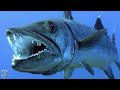 Barracuda  a bloodthirsty angry marine butcher that can kill a human