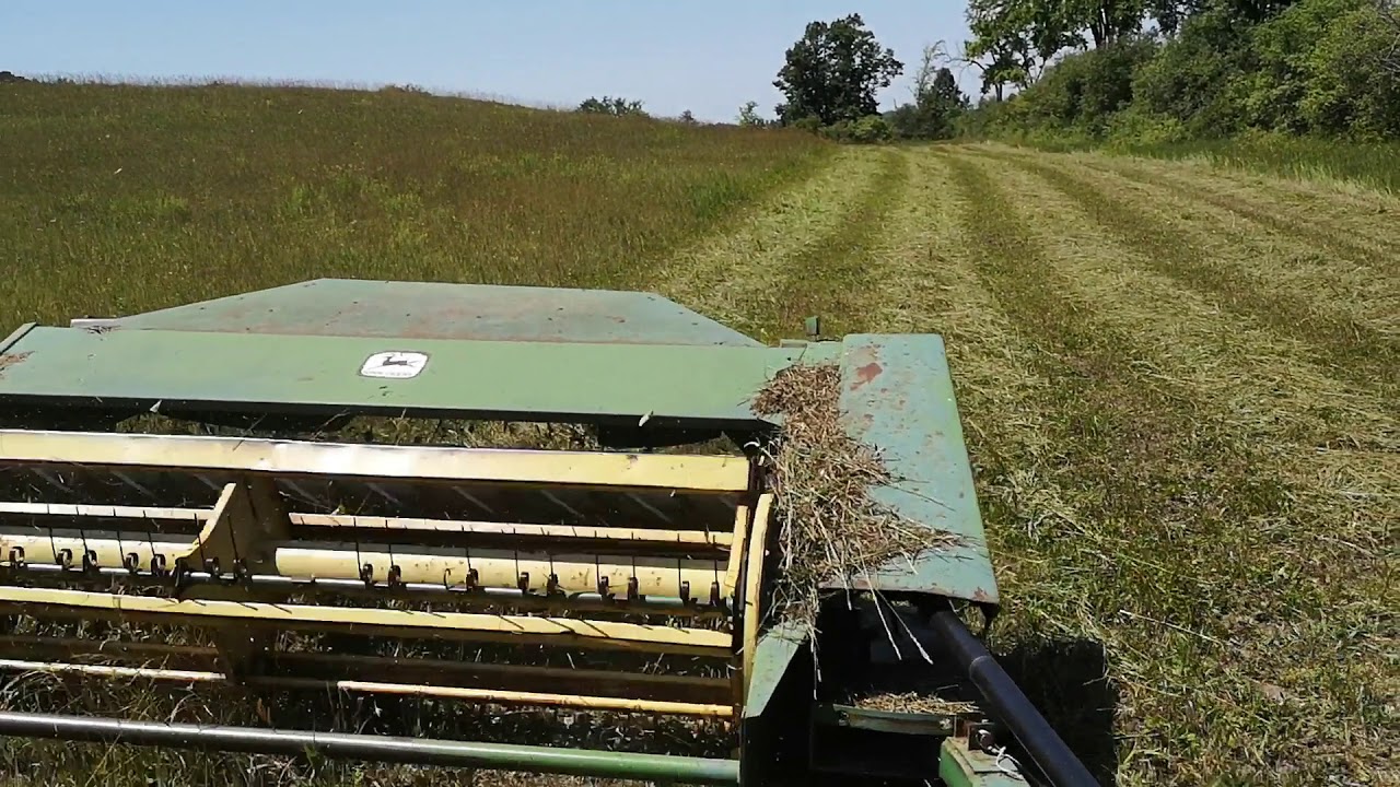 Cutting Hay YouTube