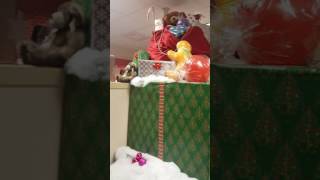Office decorating contest