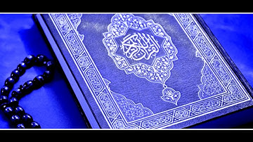 سورة فصلت الآية 22/ Surah Faslat