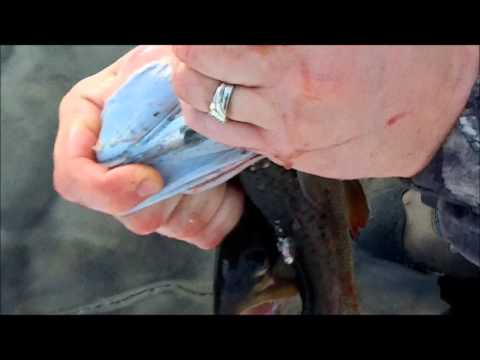 Video: How To Peel Trout