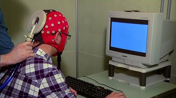 Seeing Beyond the Visual Cortex - Science Nation