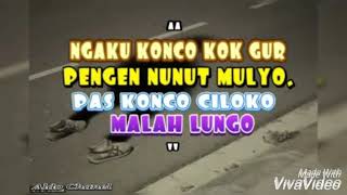 KUMPULAN STORY WA KATA KATA LUCU || MUSIK REGGAE