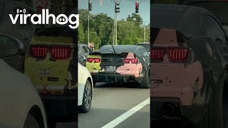SpongeBob and Patrick Car Wrap || ViralHog