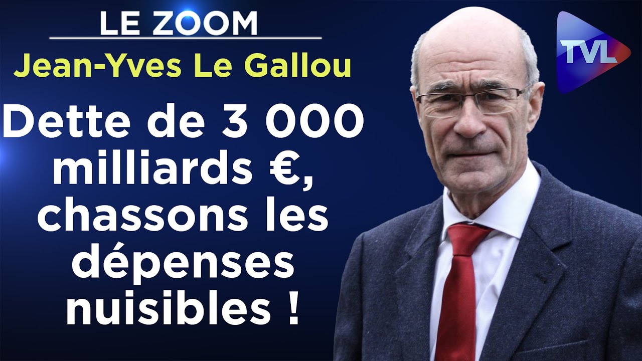Parasitisme, clientélisme... Haro sur les dépenses nuisibles ! - Le Zoom - Jean-Yves Le Gallou - TVL