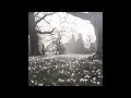 [FREE] dance x akiaura x angelcore type beat  "project1"