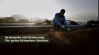 Es Braucht Viel Erfahrung. Für Gutes Schweizer Gemüse.