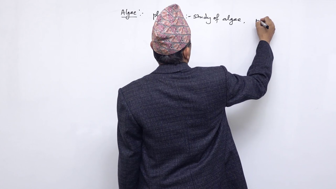 Class 11 Biology  Plantae part 1