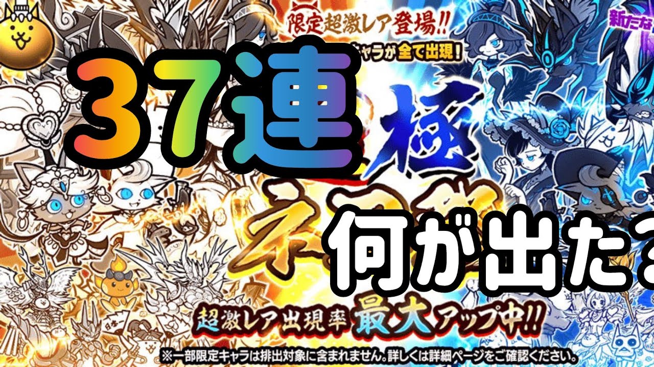37連　超極ネコ祭　いったい何が出た？　