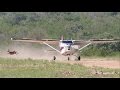 Near accident with Impala - Bushflying Kruger NP - Cessna 182