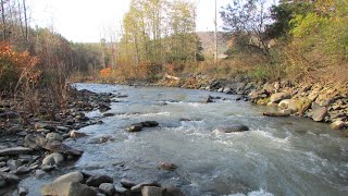 RISING SUN Offering 10 Mt Side Acres Fulton NY - Pond
