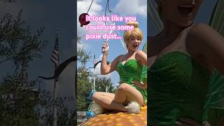 Celebrity Pixie Dust is REAL ✨#tinkerbell #disneyparade #disneyshorts #magickingdom Profile