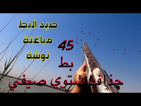 رحلة صيد انواع البط في العراق حذاف شتوي صيفي مليحي لقطات لن تتكرر مرة اخرى موسم 