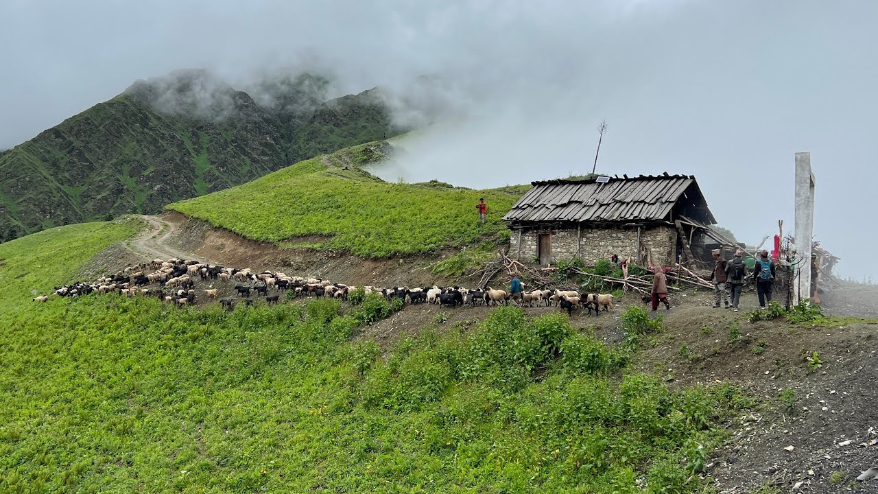 Daily Lifestyle of Nepali Mountain Village in Winter Season || Video 3 || IamSuman