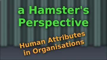 HP: Assigning Human Attributes to Organisations