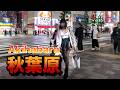 nightwalk in Akihabara【夜の秋葉原をお散歩】2026年5月13日