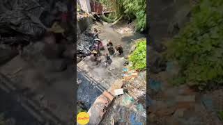 heartwarming time-lapse of a polluted river getting cleaned