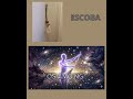 ESCOBA #holistico #energia #amor