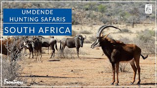 Umdende Hunting Safaris screenshot 3