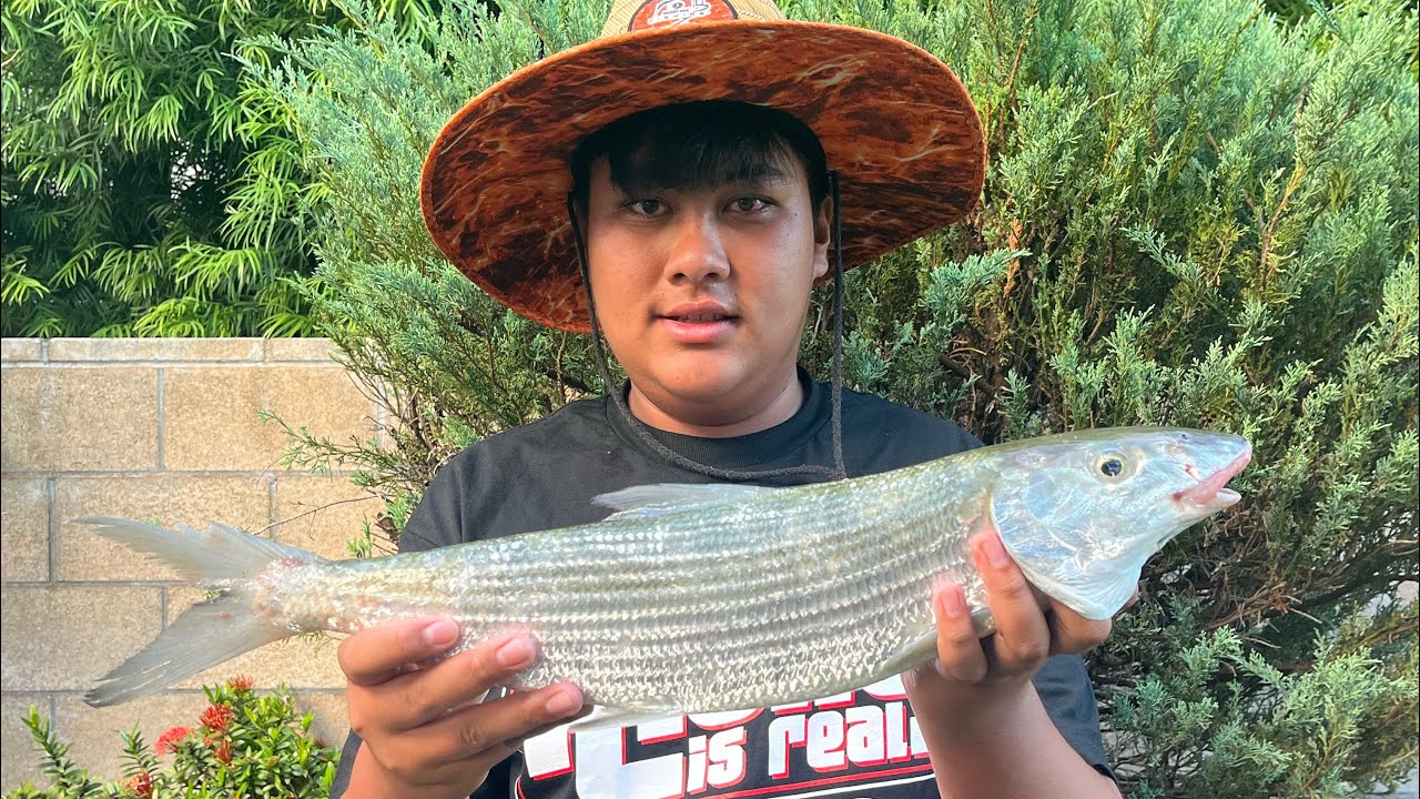 Bait casting for Oio in hawaii YouTube