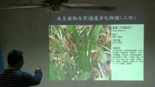 20091125水生植物配置與水體改良10.mp4