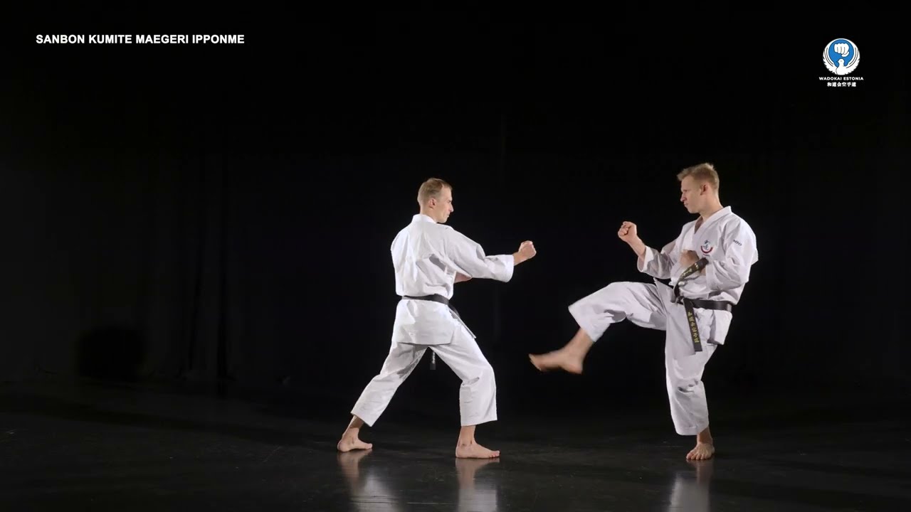 SANBON KUMITE MAEGERI - WADOKAI ESTONIA
