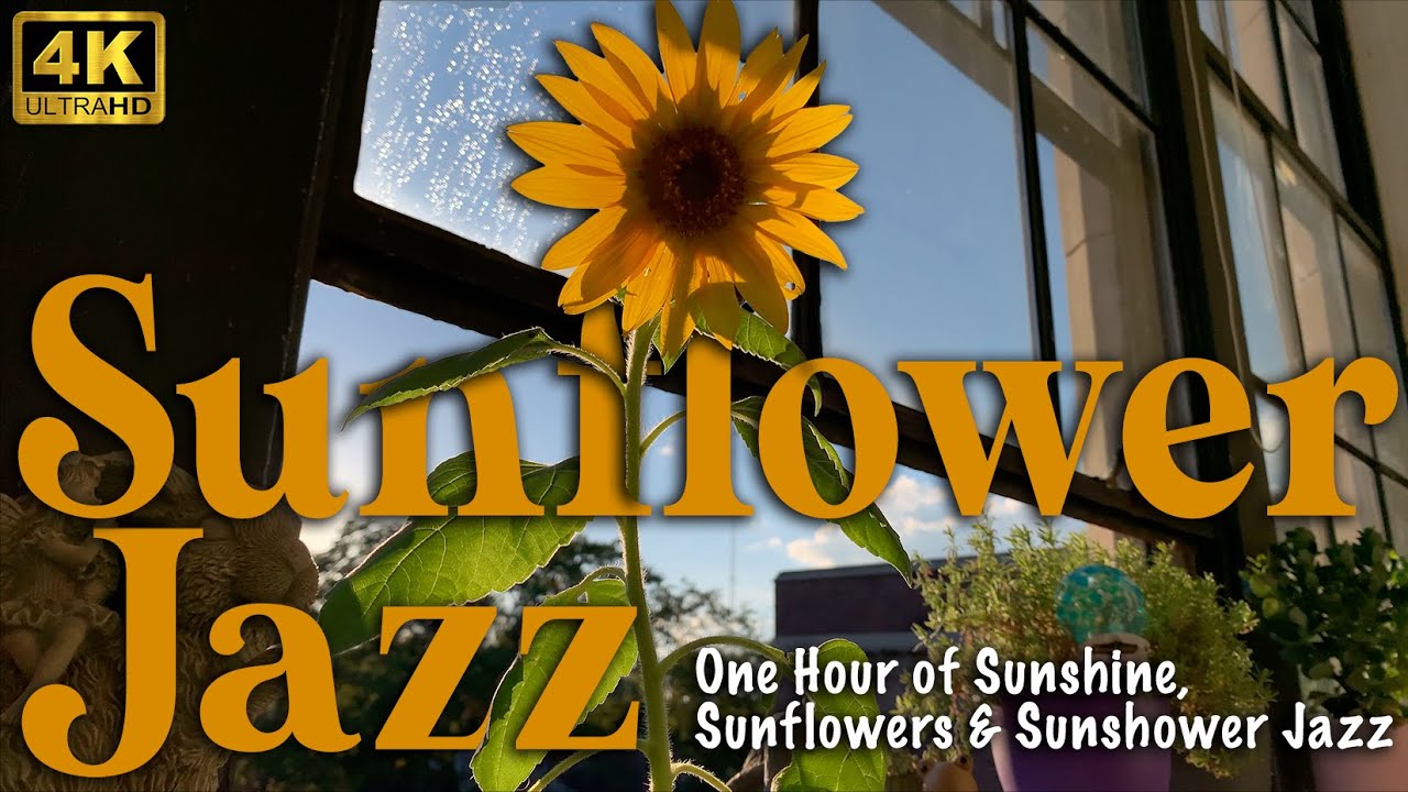 Sunflower Summer Jazz - Relaxing Music for Work, Study, & Relaxing ...