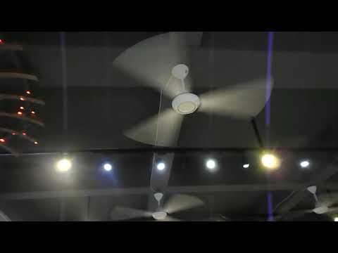 Archive video: 10