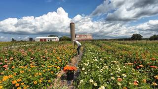 #127 What My Flower Farm REALLY Looks Like in August🌸