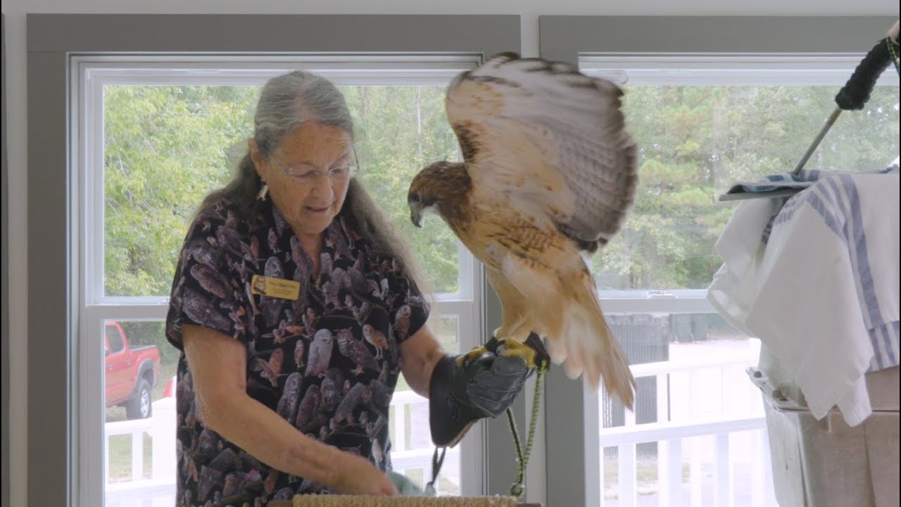 2019 Bird Fest at Old Santee Canal Park