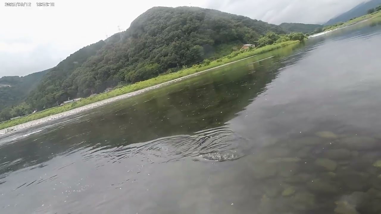 ２０２５　9 12 根尾川 2