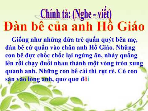 Tuan 34 Chính tả Đàn bê của anh Hồ Giáo
