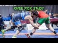 Hassan Yazdani - Knee Pick Study
