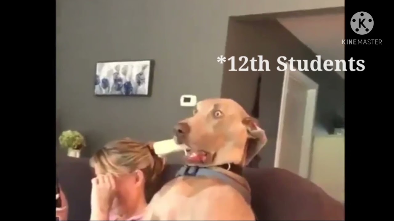 🔥After boards exam cancelled 2021 || class 10th and 12th students reaction 😂 || Memes👍|| 