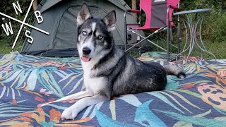 Non-Slip Outdoor Rug - Test & Review