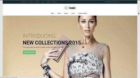 Ap Basic Shopify Theme - apollotheme.com