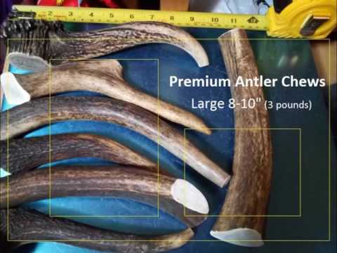 antler-dog-chews/-treats-(a-quality)-antlertopia.com