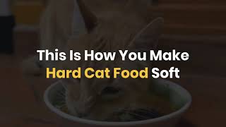 How to make hard cat food soft? screenshot 4