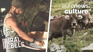 Italian Job Producing Cheese With A 200-Year Tradition Without Technology