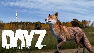 Surviving DayZ!