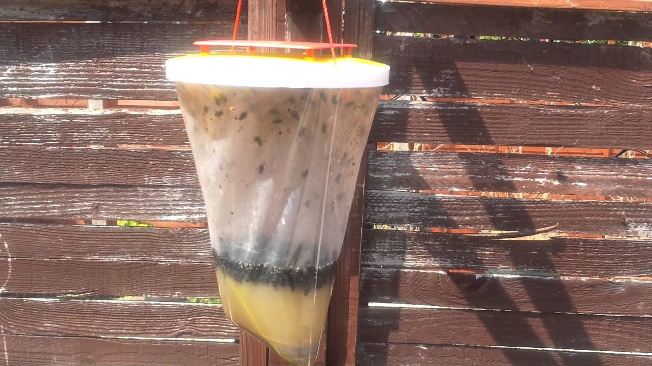 Welcome To Westbury Wiltshire -- FLY CITY