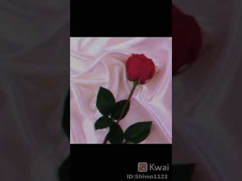 وبحبك ليل ونهار