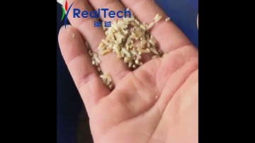 Single Chute Rice Color Sorting