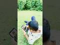 #Humko_Sirf_Tumse_Pyaar_Hai#
