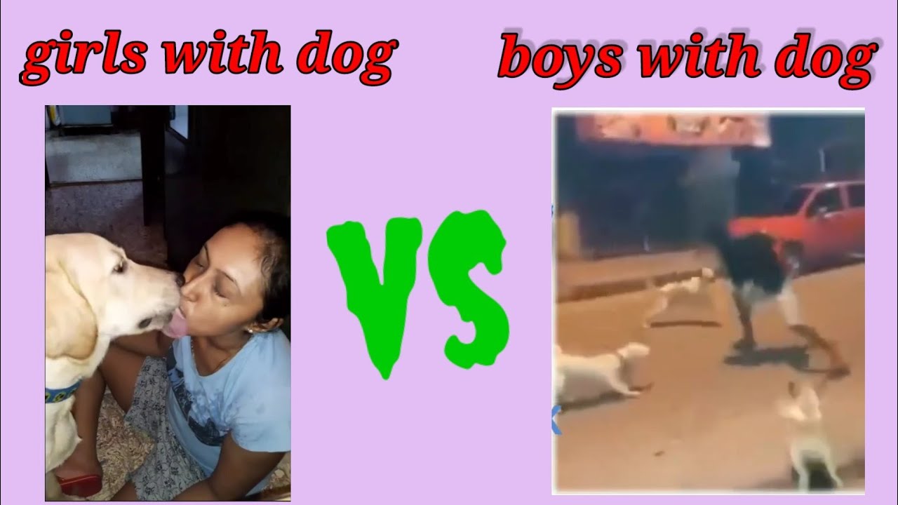 boys vs girls with dog 🤪😂😂 boys vs girls girls vs boys dogmeme 