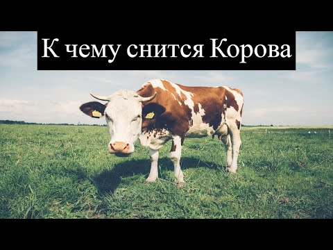 К чему снится КОРОВА или видеть во сне КОРОВУ | Толкование снов | Сонник Sk1.online