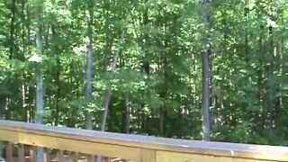 2136 Ridge Rd Palmyra Va